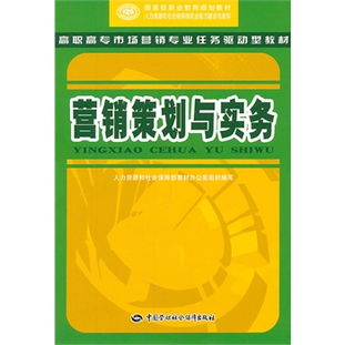 營銷策劃與實務 構建高效市場營銷策劃的框架與實踐